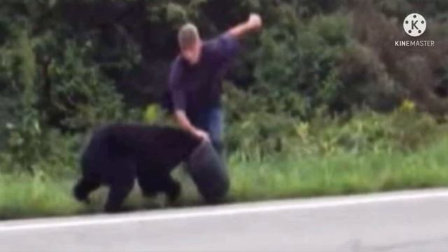 Пара увидела медведя, который странно себя вел. Когда они поняли причину, то тут же забили тревогу смотреть онлайн
