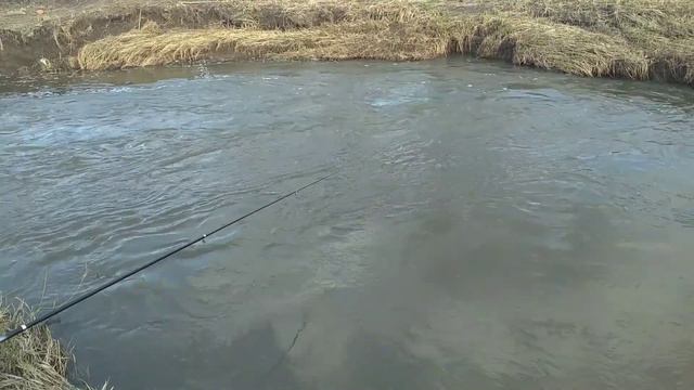 Ловим на удочку и экран плотву. смотреть онлайн