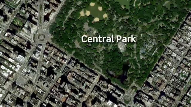 English File Beginner 4th edition - 6B Video Listening - A Day in the Life of a New York Tour Guide смотреть онлайн