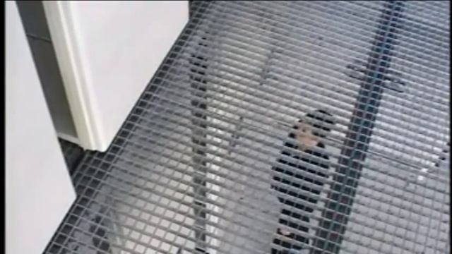 Электрические стеллажи, мезонин для склада смотреть онлайн