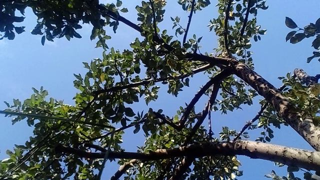 20240829_080528.mp4 смотреть онлайн