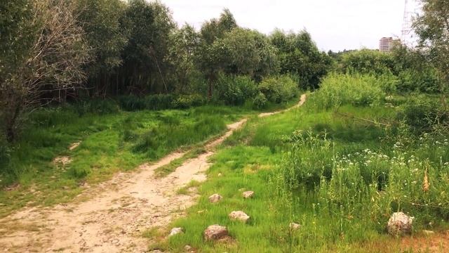 ОКАЗЫВАЕТСЯ ЗДЕСЬ БЕТОННЫЕ БЛОКИ смотреть онлайн