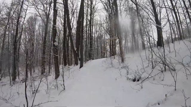 Wyatt Maverick First Snow 2023! смотреть онлайн