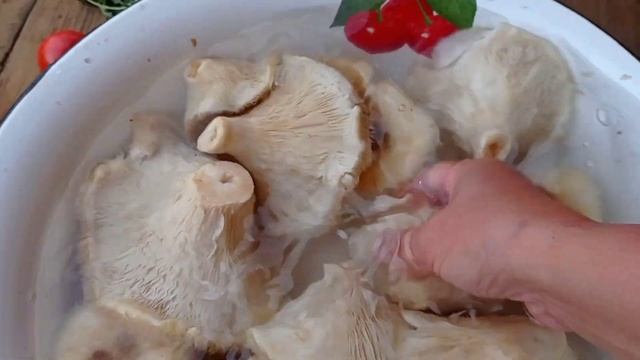 Грибной сад