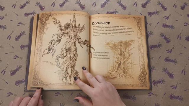 Diablo: Книга Адрии – Энциклопедия фантастических существ Diablo