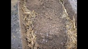 глина и солома