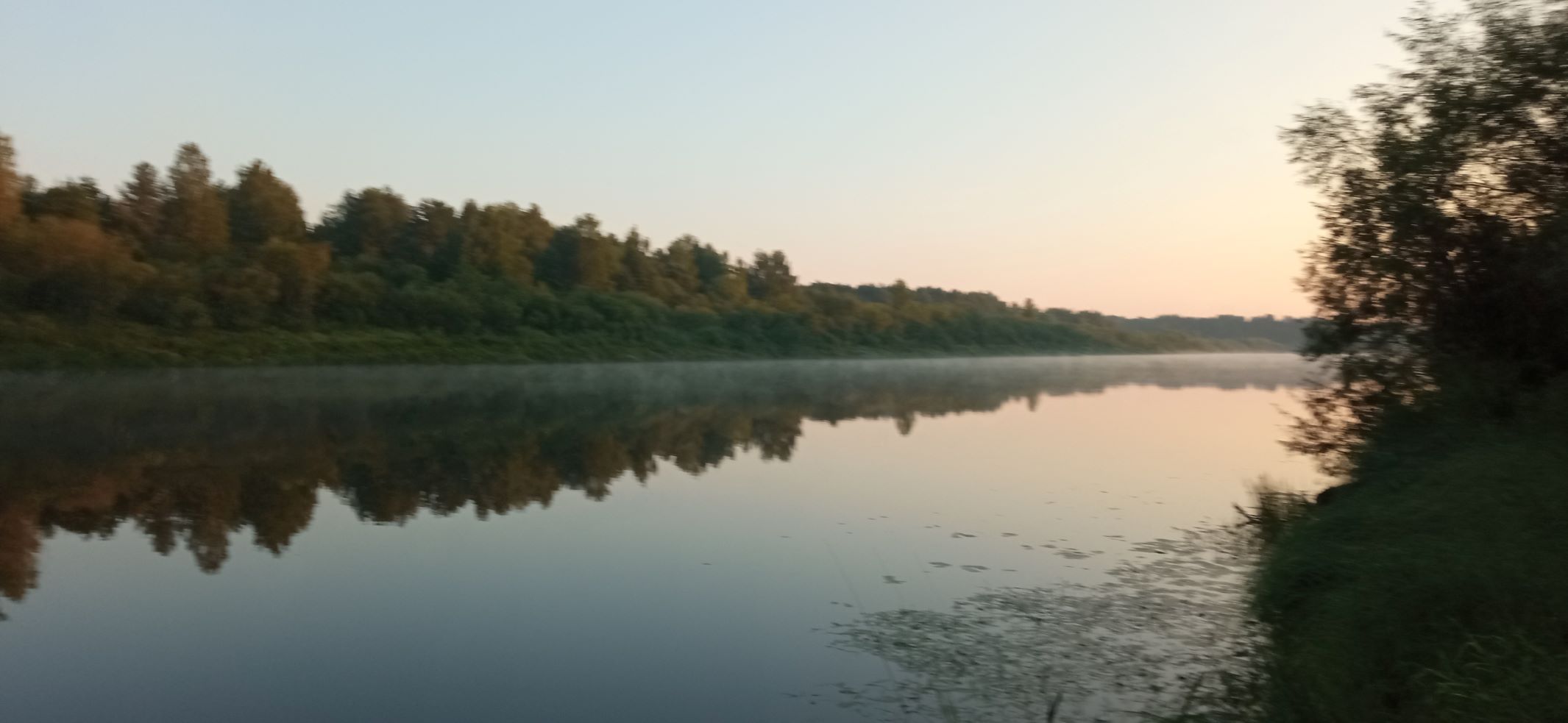 Ветлуга-красавица