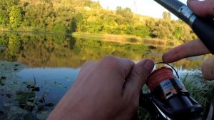 ??СОМ на МЕДВЕДКУ.Сход КАРПА.Ловля сома с берега на медведку.Рецепт каши на карпа