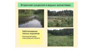 Саморазвитие экосистемы