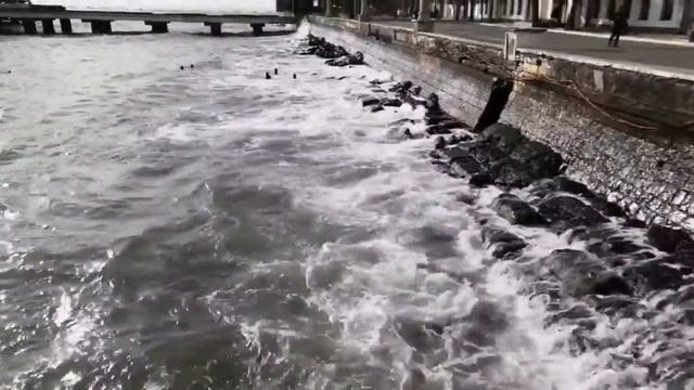 Абхазия. Январь 2021. Сухум. Набережная Махаджиров. смотреть онлайн