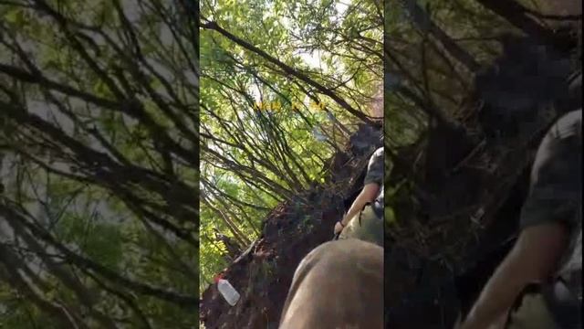 Укровоины даже не успевают толком окоп выкопать, как по ним уже работают российские артиллеристы. смотреть онлайн