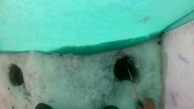 Рыбалка на реке ишим ловля плотвы уклейки подлещика смотреть онлайн