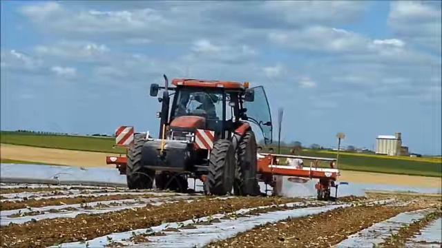 Укладка термоса на дынном поле смотреть онлайн