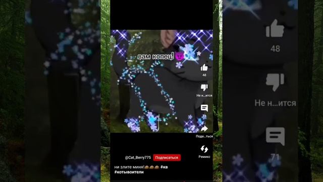 МОЯ ПЕРВАЯ РЕАКЦИЯ НА ЧЕСТЕР КВ СЬЮ ОНА ИЛИ НЕТ?МАГИЯ В КВ?ОГНЕЗВЁЗД И СИНЯЯ ЗВЕЗДА ПАРА?