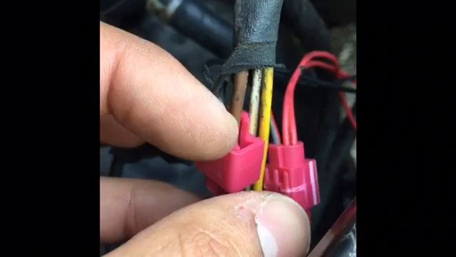 W203 C-Class: How To Wire Halo Headlights