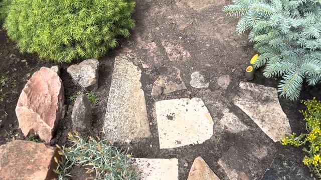 РАБОЧИЙ ДЕНЬ В САДУ: СТРИЖКА КЛЕНА, ДОРОЖКА ИЗ КАМНЯ, ОБЗОР РАСТЕНИЙ НА УЧАСТКЕ БЕЗ СОРНЯКОВ )) смотреть онлайн