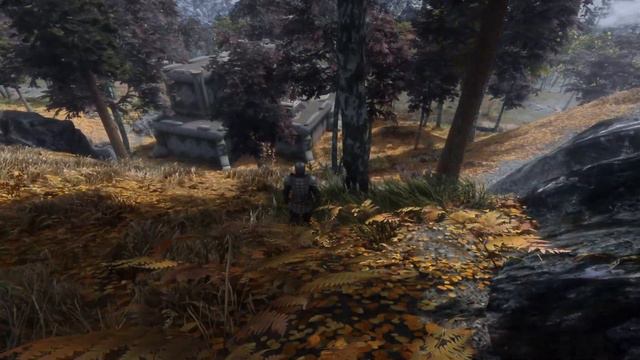 Skyrim ULTRA Modded Graphics