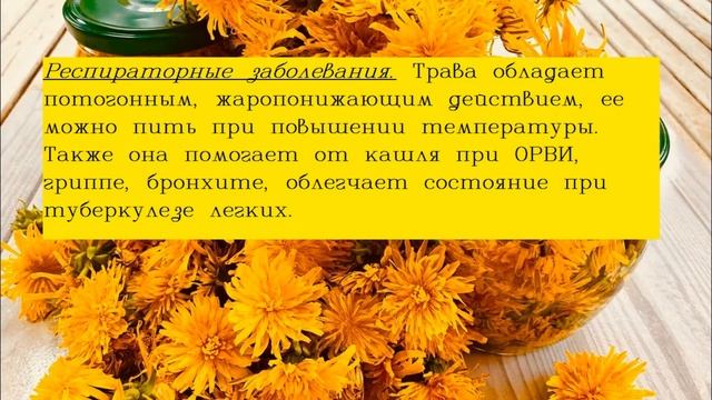 Что лечит одуванчик/Одуванчик отвар | Лечебные свойства одуванчика | Применение одуванчика смотреть онлайн