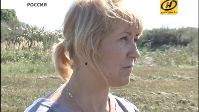 Белорусские комбайны отправились на жатву в Смоленскую область смотреть онлайн