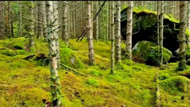 РОССИЯ - Анатолий Киреев 09.09.17 смотреть онлайн