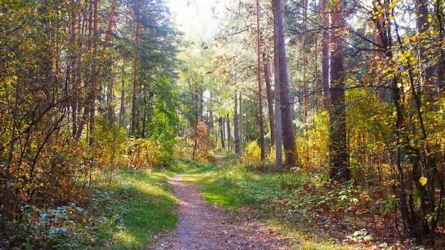 Краски осени смотреть онлайн