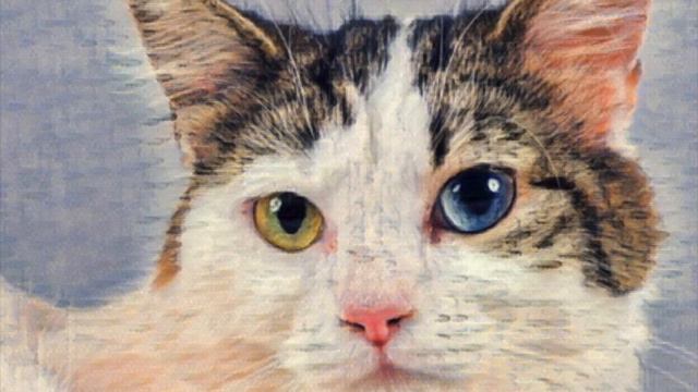 Зелёное и голубое - Семейный рассказ