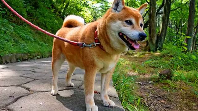 Слушать новую музыку про любовь онлайн смотреть онлайн