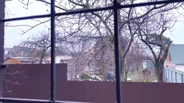 д смотреть онлайн