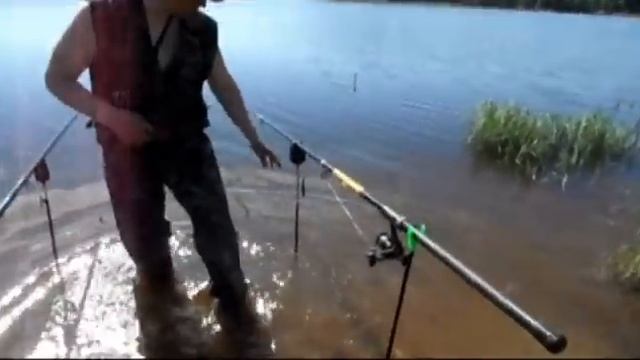 Сравнение недорогих сигнализаторов поклевки