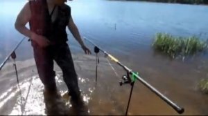 Сравнение недорогих сигнализаторов поклевки