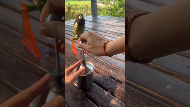 Утренний кофе сегодня на дачи смотреть онлайн