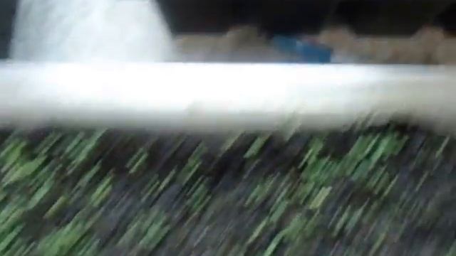 ПЕТУНИЯ ПОСЕВ НА ПЕЛЕНКУ Видеоурок от Ольги Черновой начинающим садоводам и огородникам 23 января смотреть онлайн