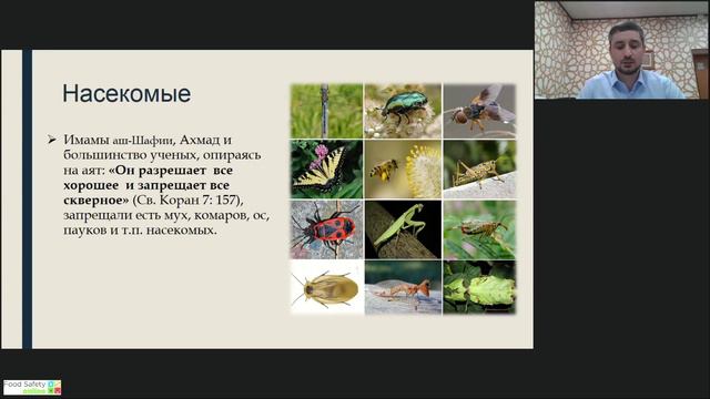 17.11.21: КАТЕГОРИИ ХАЛЯЛЬ И ХАРАМ В ИСЛАМЕ смотреть онлайн