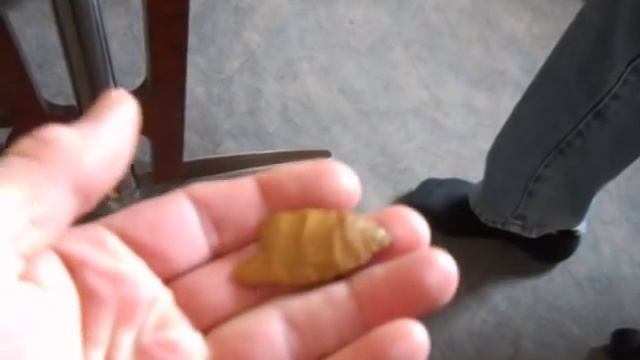 ARROW HEADS & STONEAGE WEALTH смотреть онлайн