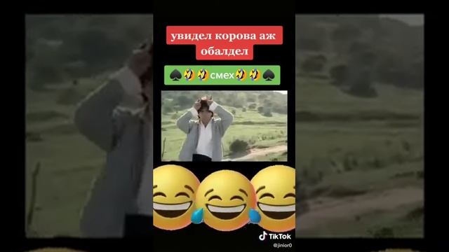 когда вижу коровы боюсь