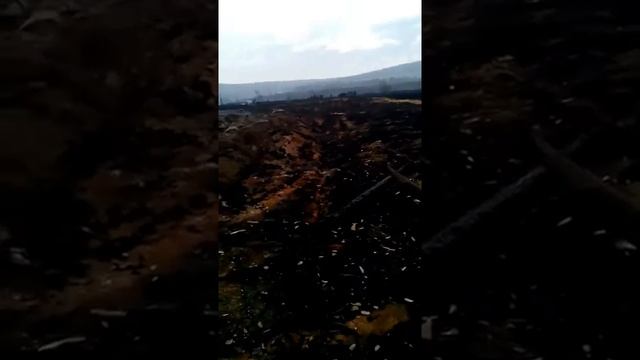 Пожар 27.04.17 белогорка смотреть онлайн