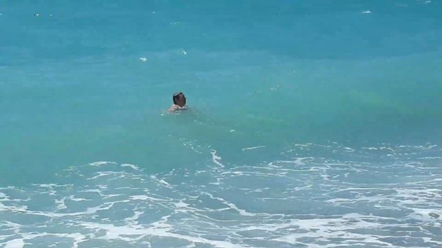 гагры 2022 старый парк смотреть онлайн