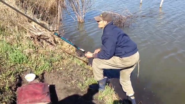 Ловля карпа смотреть онлайн