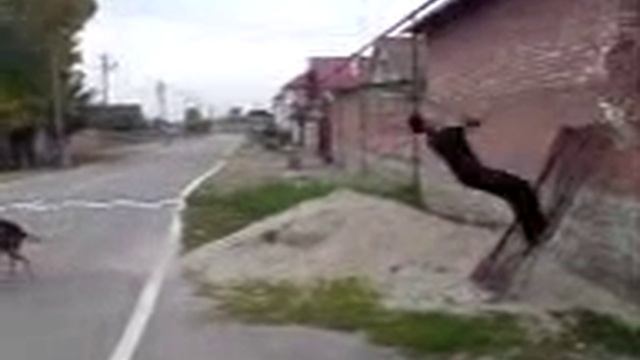 Вообще классная сетка