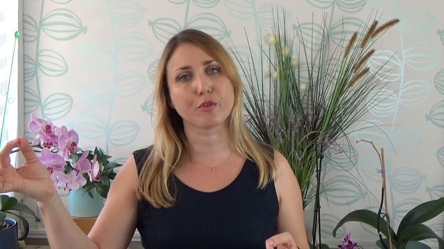 ✿ Faut-il couper les tiges des orchidées après la floraison ? Exemple des phalaenopsis ! смотреть онлайн