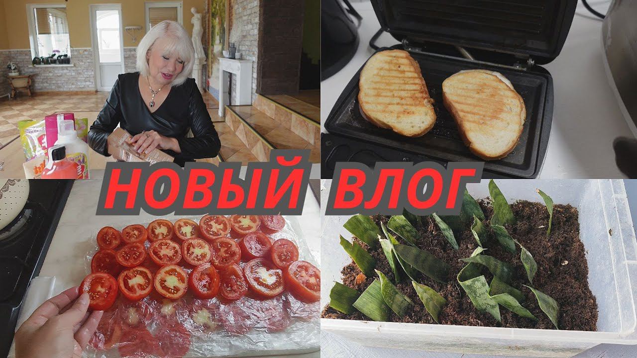 Влог/Новые покупки/Способ заморозки помидоров/Дачные хлопоты@SubTatiana смотреть онлайн