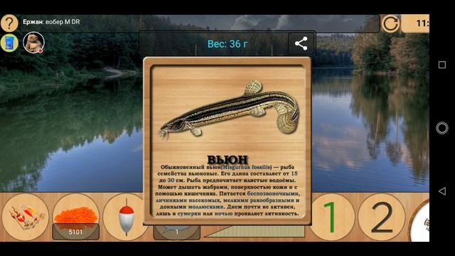 Как поймать Вьюна на Лесном озере [АРХИВ] | Реальная Рыбалка смотреть онлайн