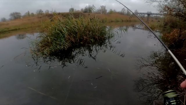 Влупив онлайн з під берега ТРОФЕЇ ОСЕНІ смотреть онлайн
