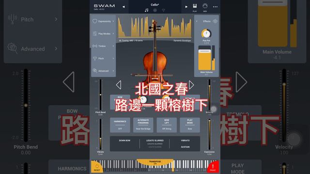 北國の春, 路邊一顆榕樹下, SWAM cello cover by sax🎷 Roland смотреть онлайн