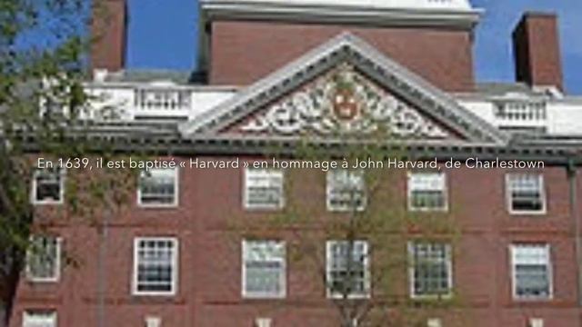 Mikael Harvard university смотреть онлайн