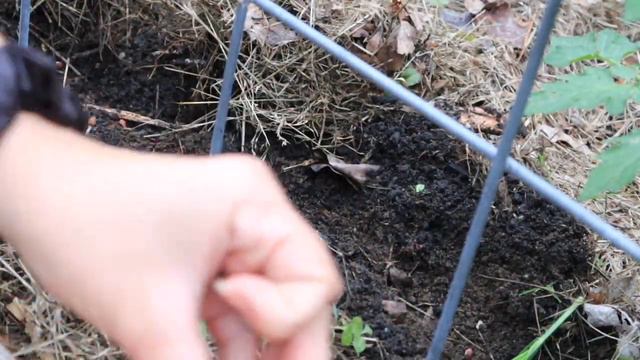 Evening garden walk & planting | June VLOG pt.2 смотреть онлайн