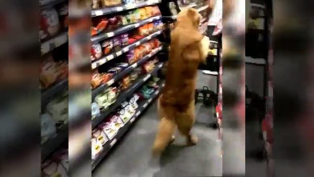 помощник ребятам на фронт я там уже был и знаю каково это 2202 2003 4591 2586 смотреть онлайн