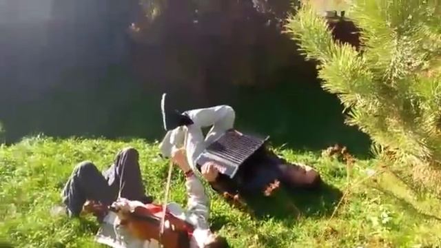 Вкратце о правильной посадке гармониста и постановке скрипача ) смотреть онлайн