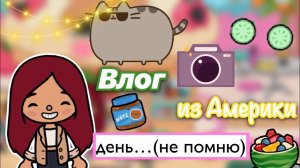 Последний день в Америке ???? _ Toca Life World _ тока бока _ toca boca _ Secret Toca