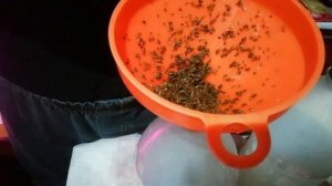 супер способ замачивания и высева семян моркови и не только.